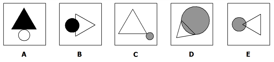 7 | Learnfast Review and Tutorial Hub
